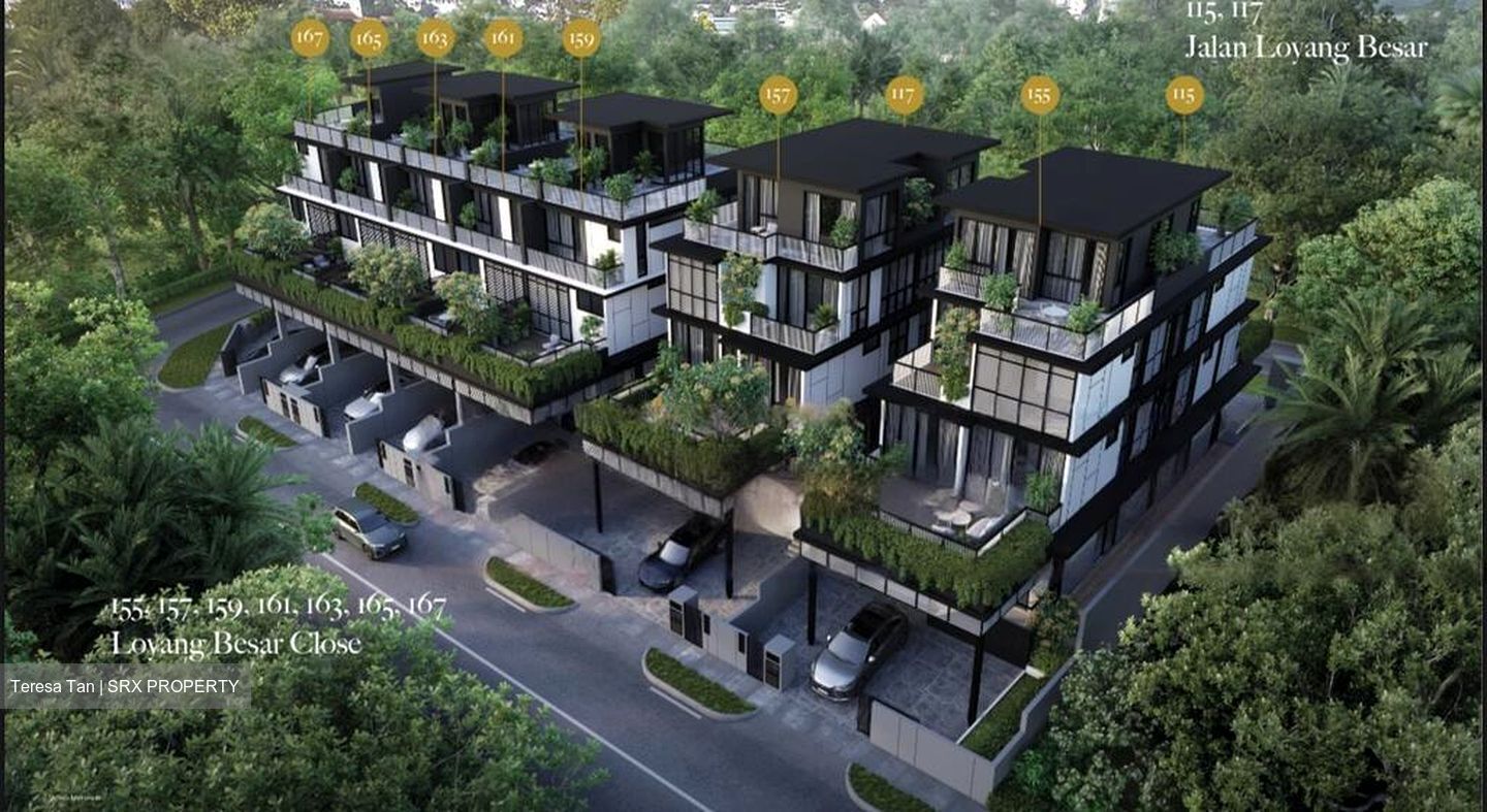 Jalan Loyang Besar (D17), Terrace #482519291